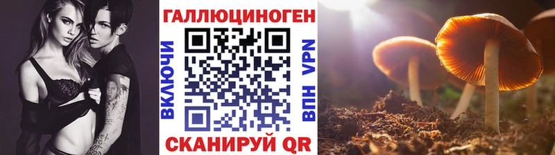 Псилоцибиновые грибы мицелий  даркнет сайт  Малмыж 